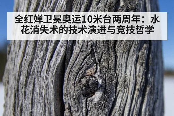 全红婵卫冕奥运10米台两周年:水花消失术的技术演进与竞技哲学